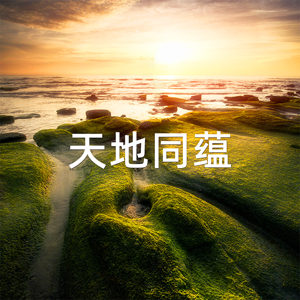 天地同蘊(yùn)